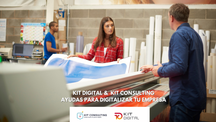 Kit Digital y Kit Consulting